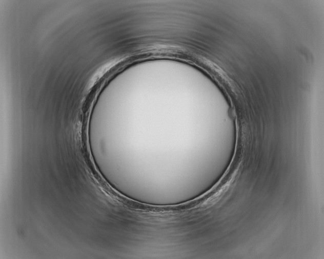 X0000113741066200909230941