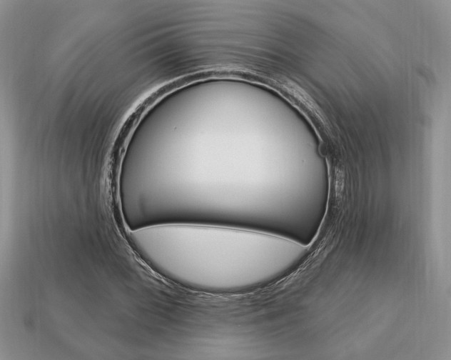 X0000113741068200909230941