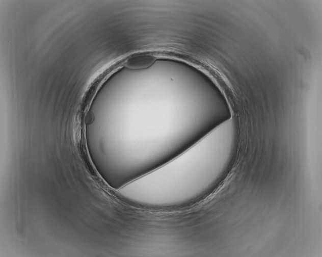X0000113741069200909230941