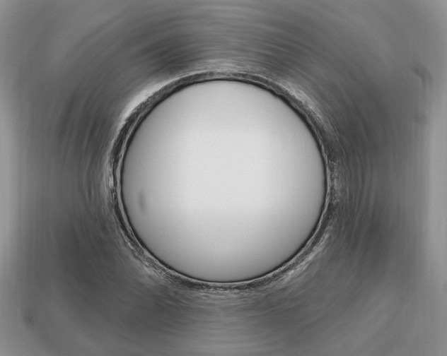 X0000113741070200909230941