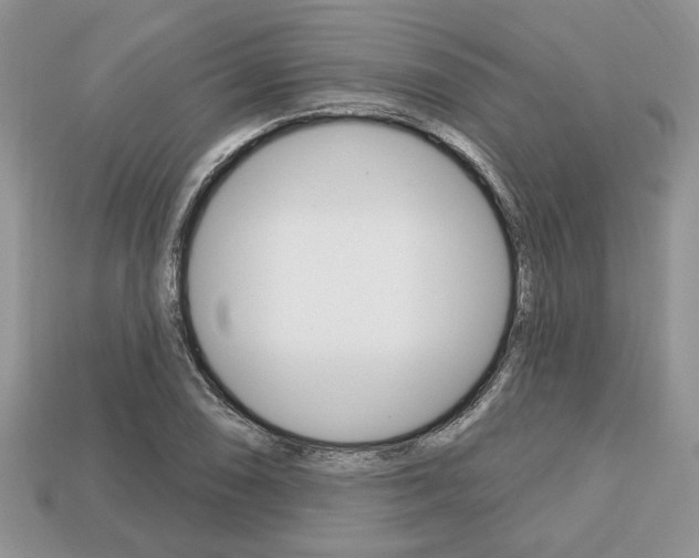 X0000113741074200909230941