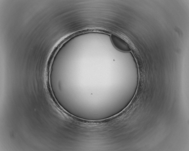 X0000113741076200909230941