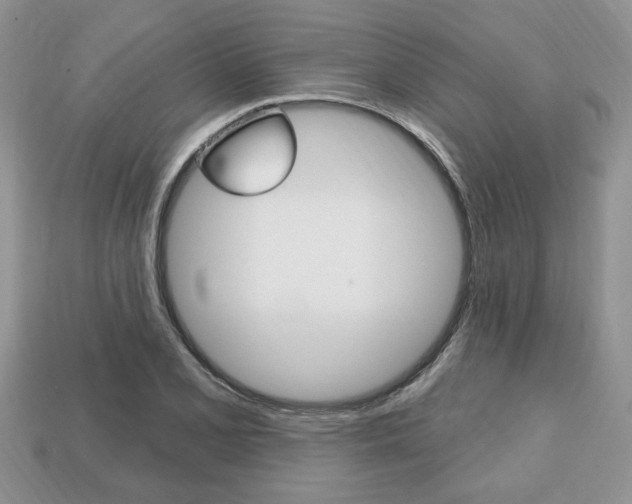 X0000113741077200909230941