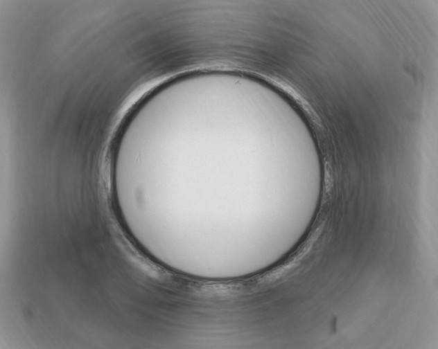 X0000113741078200909230941