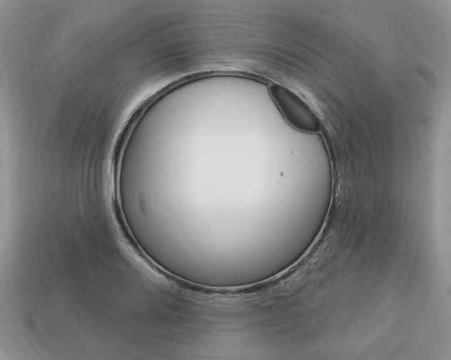 X0000113741080200909230941