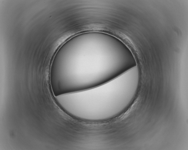 X0000113741081200909230941