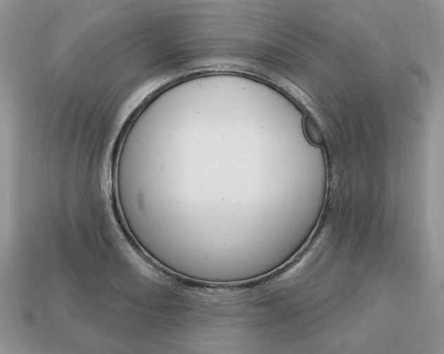 X0000113741082200909230941
