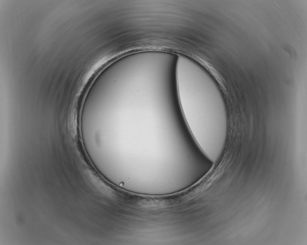 X0000113741083200909230941