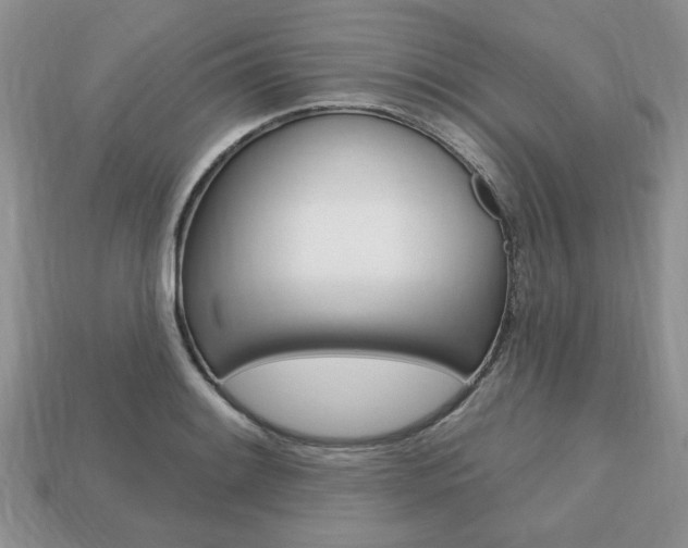 X0000113741084200909230941