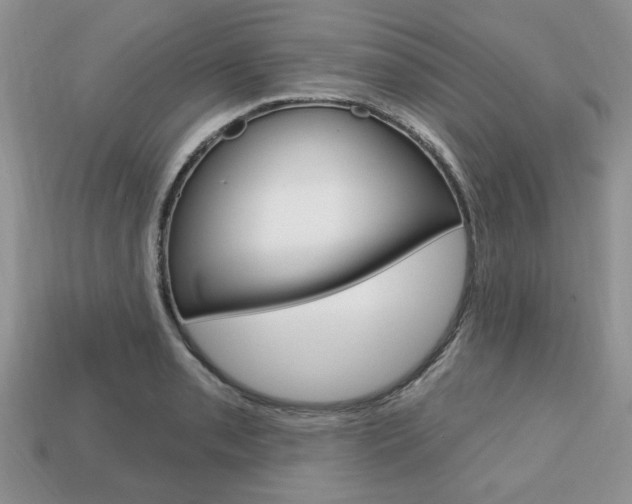 X0000113741085200909230941