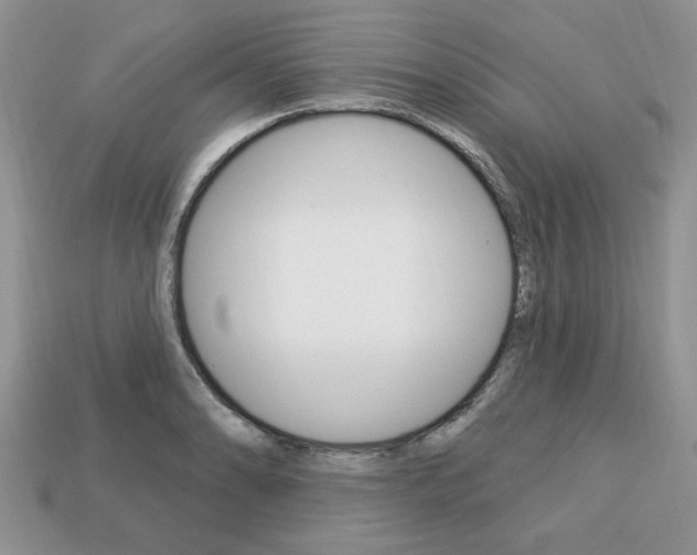 X0000113741086200909230941