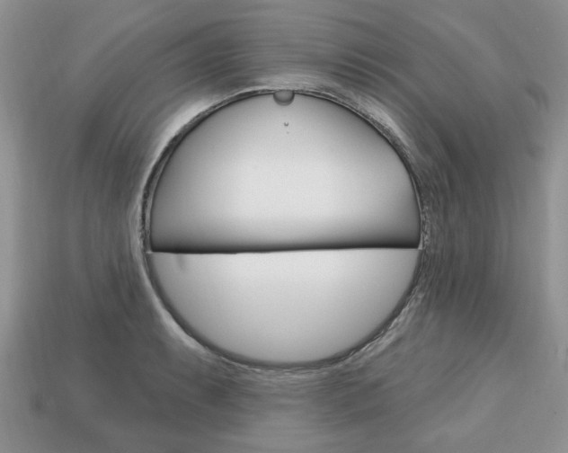 X0000113741087200909230941