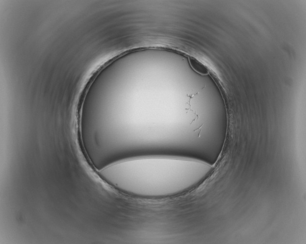 X0000113741088200909230941
