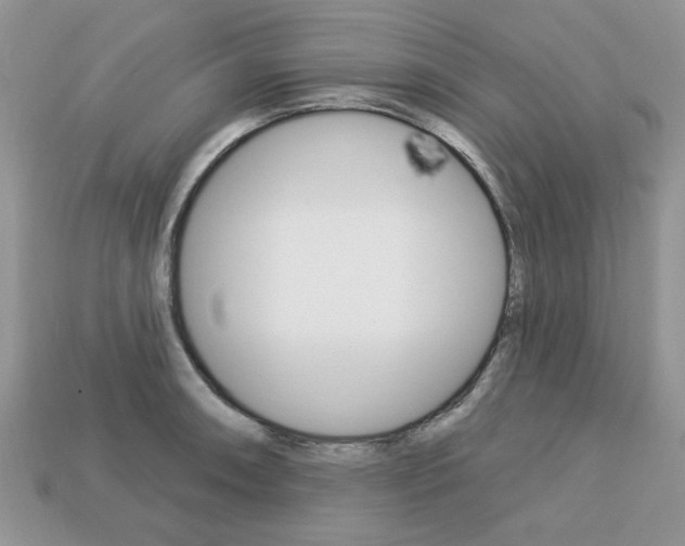 X0000113741090200909230941