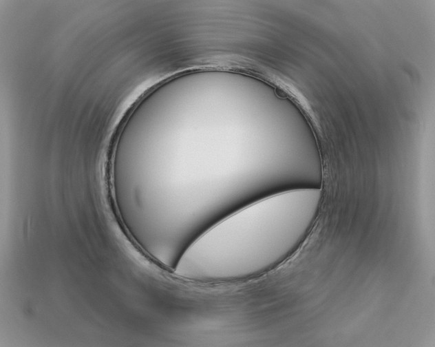 X0000113741091200909230941