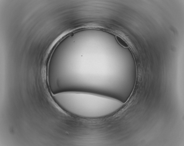 X0000113741092200909230941