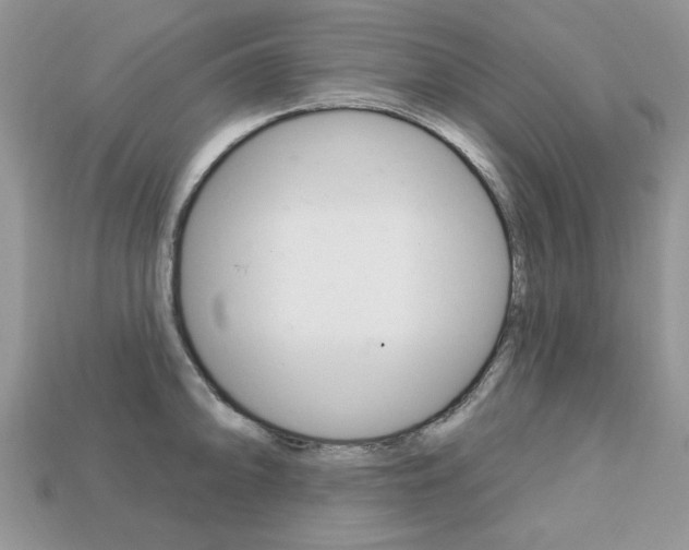 X0000113741094200909230941