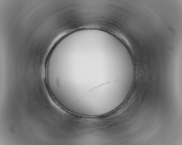 X0000113741095200909230941