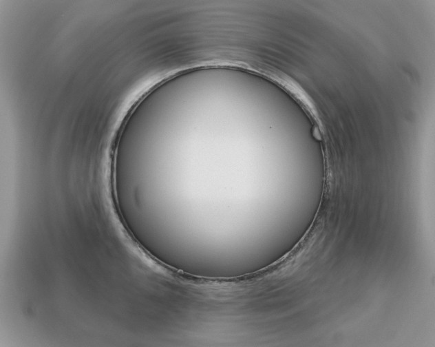 X0000113741096200909230941