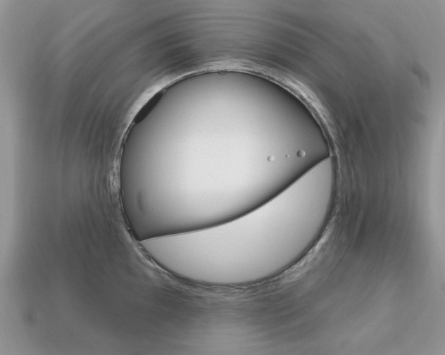 X0000113741097200909230940