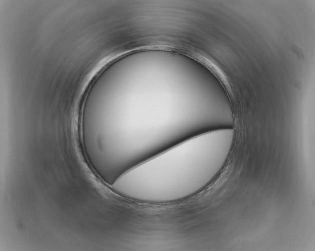 X0000113741099200909230940