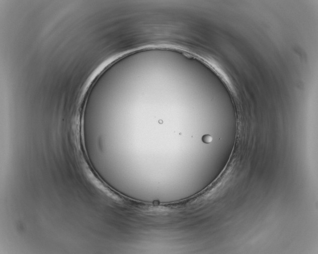 X0000113741100200909230940