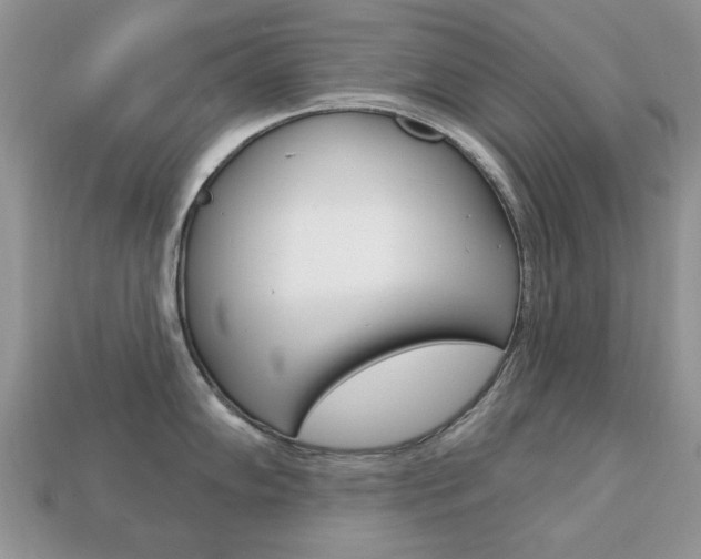 X0000113741102200909230940