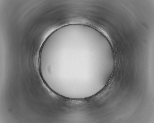 X0000113741103200909230940
