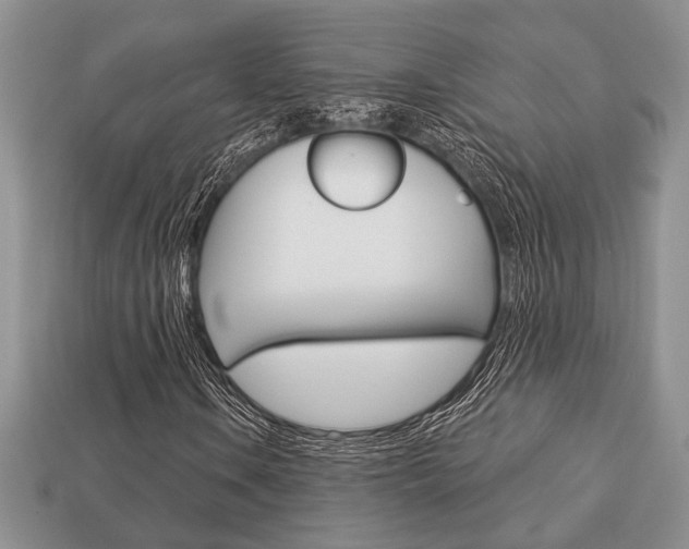 X0000113741106200909230940