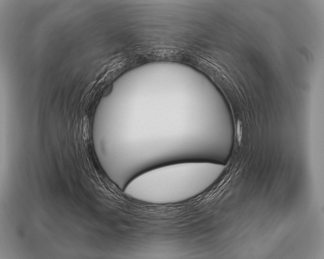 X0000113741107200909230940