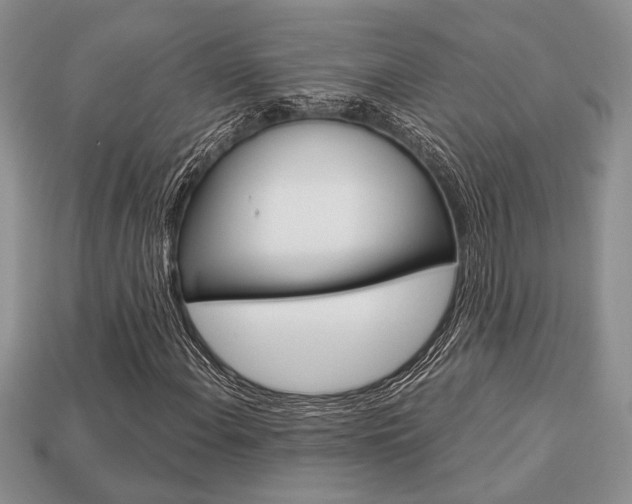 X0000113741108200909230940