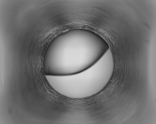 X0000113741110200909230940