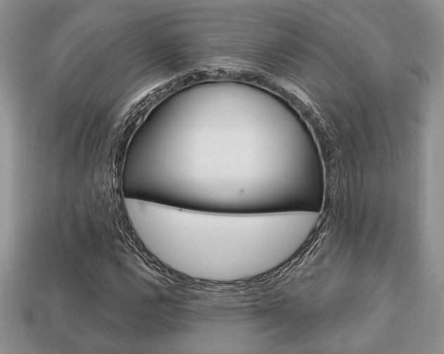 X0000113741112200909230940