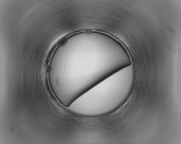 X0000113741119200909230940