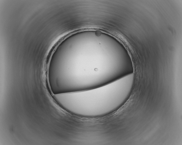 X0000113741124200909230940