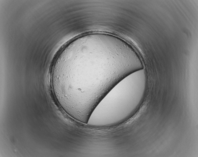 X0000113741125200909230940