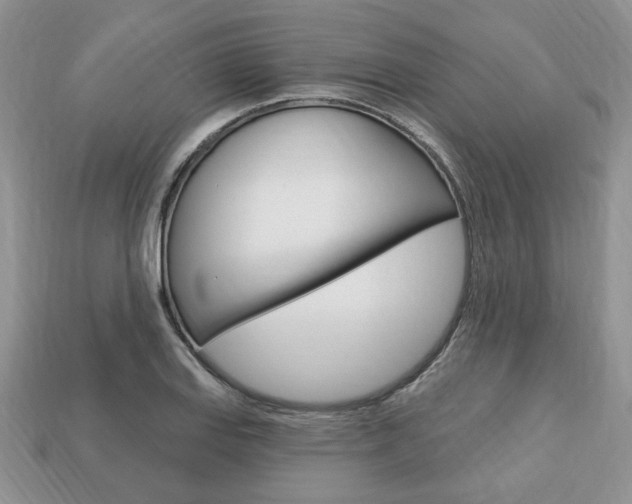 X0000113741127200909230940
