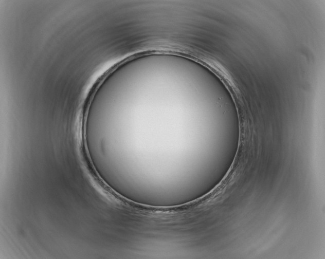 X0000113741128200909230940