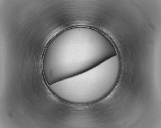 X0000113741129200909230940