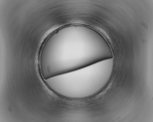 X0000113741133200909230940