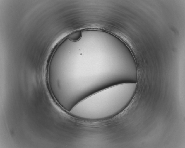 X0000113741135200909230940