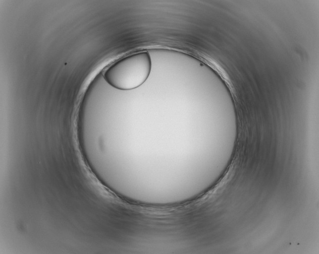 X0000113741138200909230940