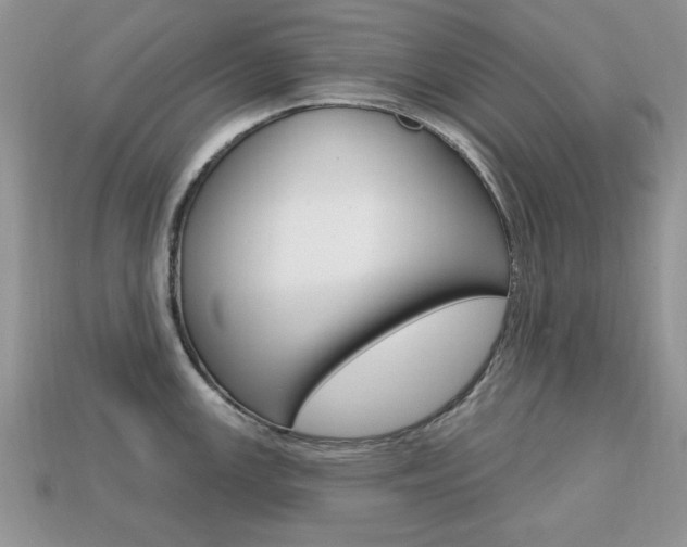 X0000113741147200909230940