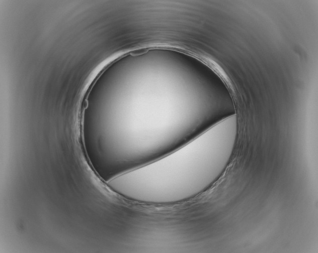 X0000113741148200909230940