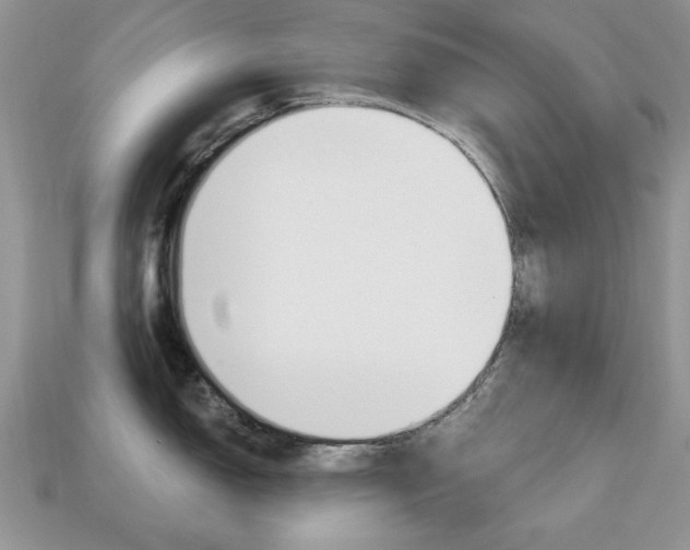 X0000113741150200909230940