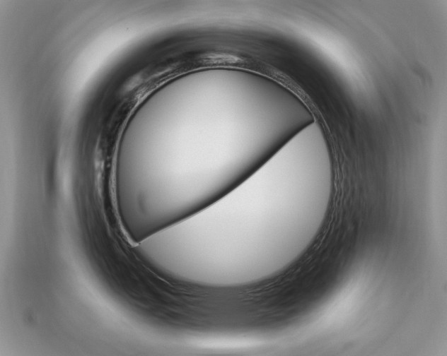 X0000113741151200909230940