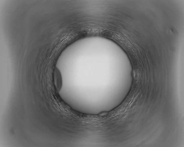 X0000113741153200909230940