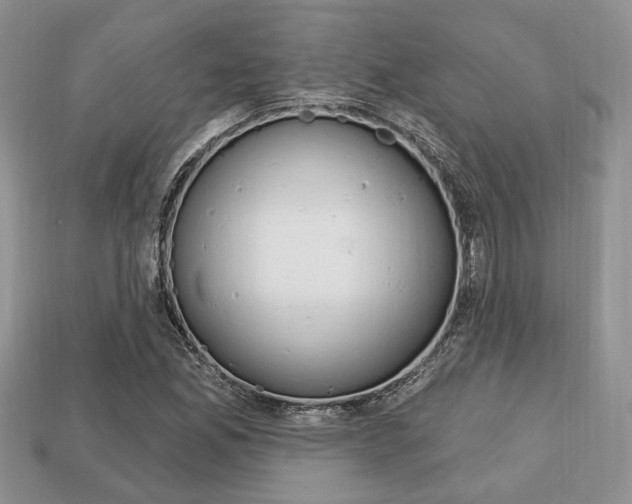 X0000113741165200909230940