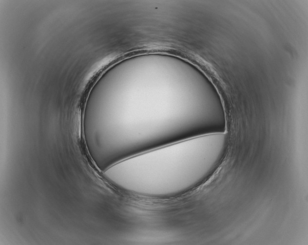 X0000113741171200909230940