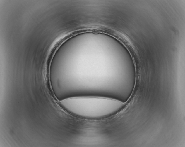 X0000113741172200909230940